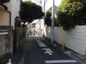 CIMG1093